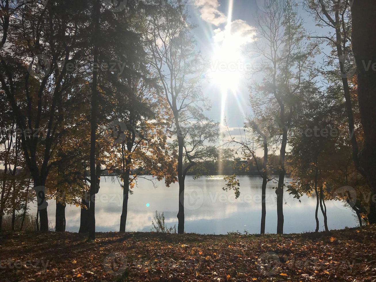paysage d'automne magnifique avec des arbres et des feuilles jaunes sur le lac contre le ciel bleu par une journée ensoleillée photo