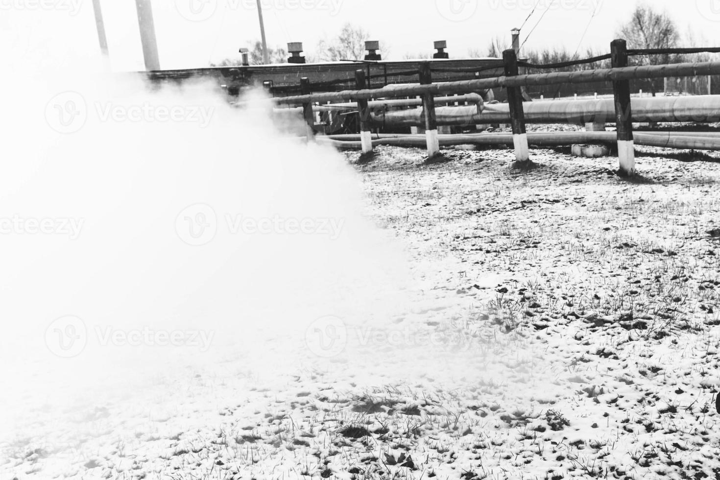 râtelier à tuyaux avec tuyaux en vapeur haute pression surchauffée dans une usine chimique pétrochimique de raffinerie de pétrole photo