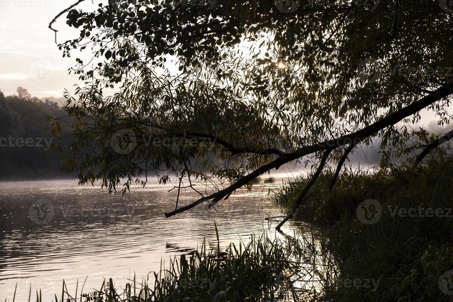 brouillard matinal à la surface de la rivière photo