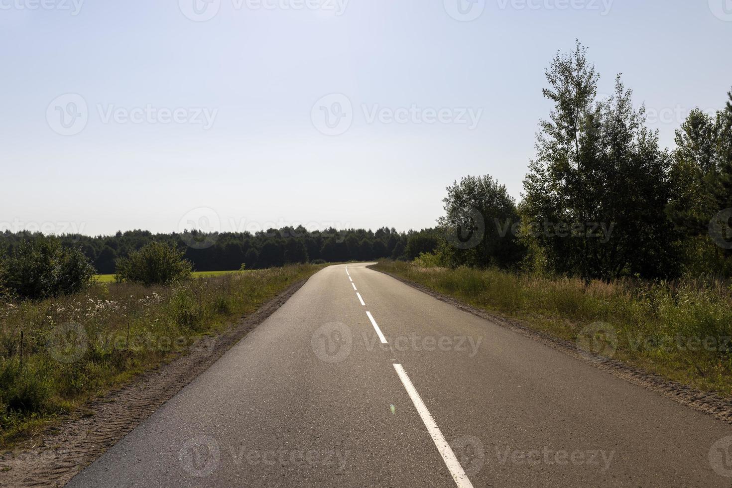 route goudronnée à travers la forêt photo