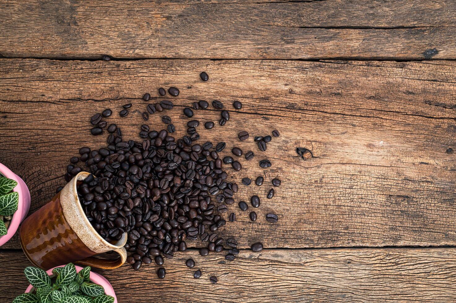 grains de café sur le bureau photo