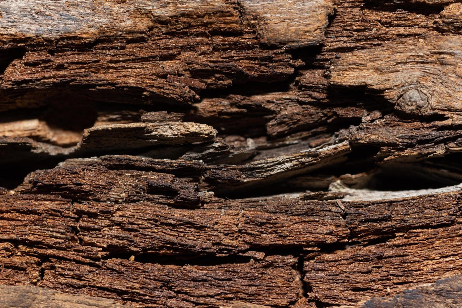 texture de modèle de bois ancien photo