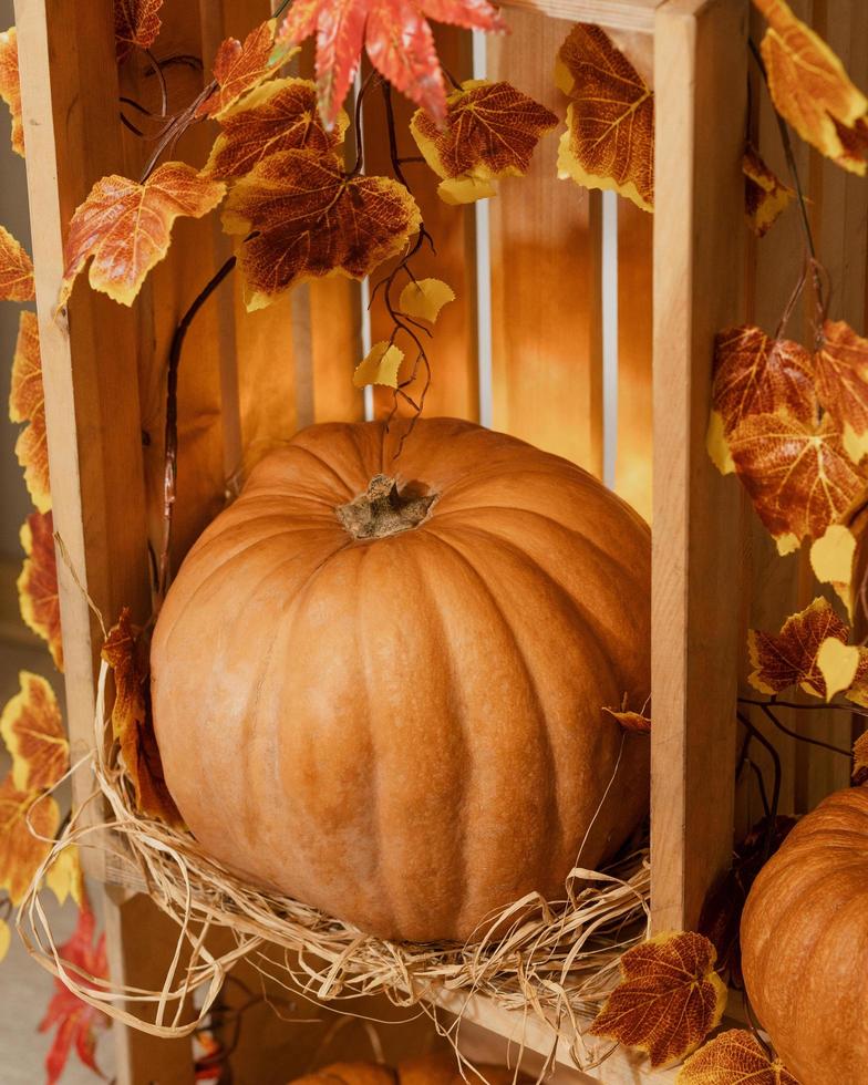 citrouille d'halloween dans une caisse en bois photo