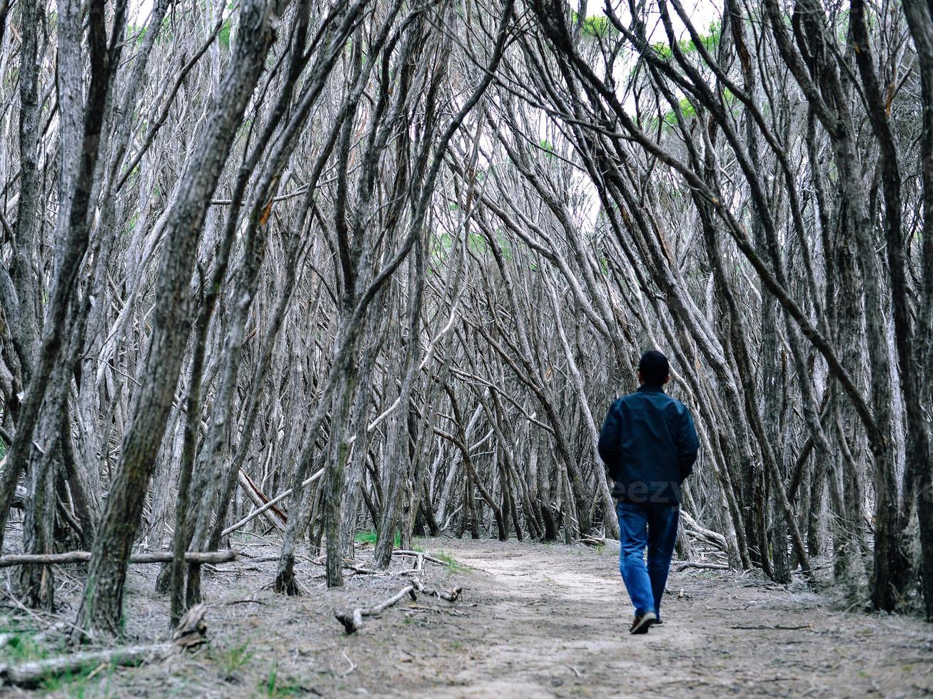 un homme marchant seul dans une forêt en automne photo