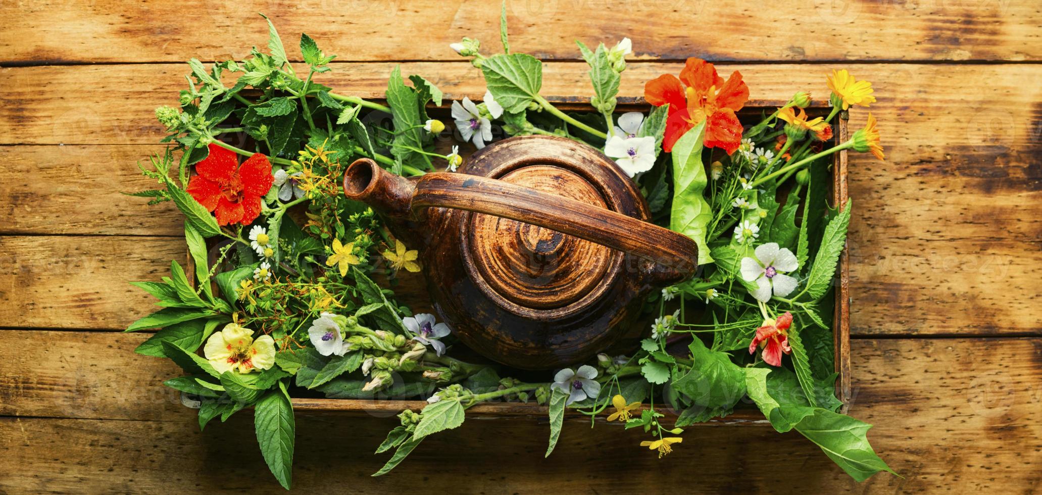 théière aux herbes médicinales fraîches photo