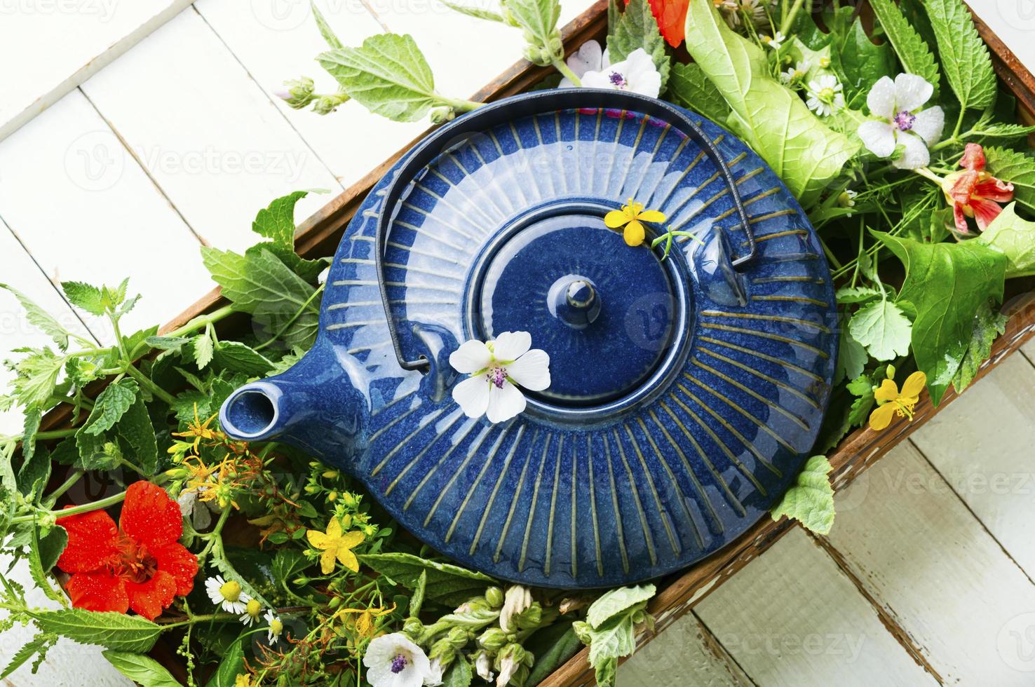 tisane, fleurs et herbes, herbes médicinales photo