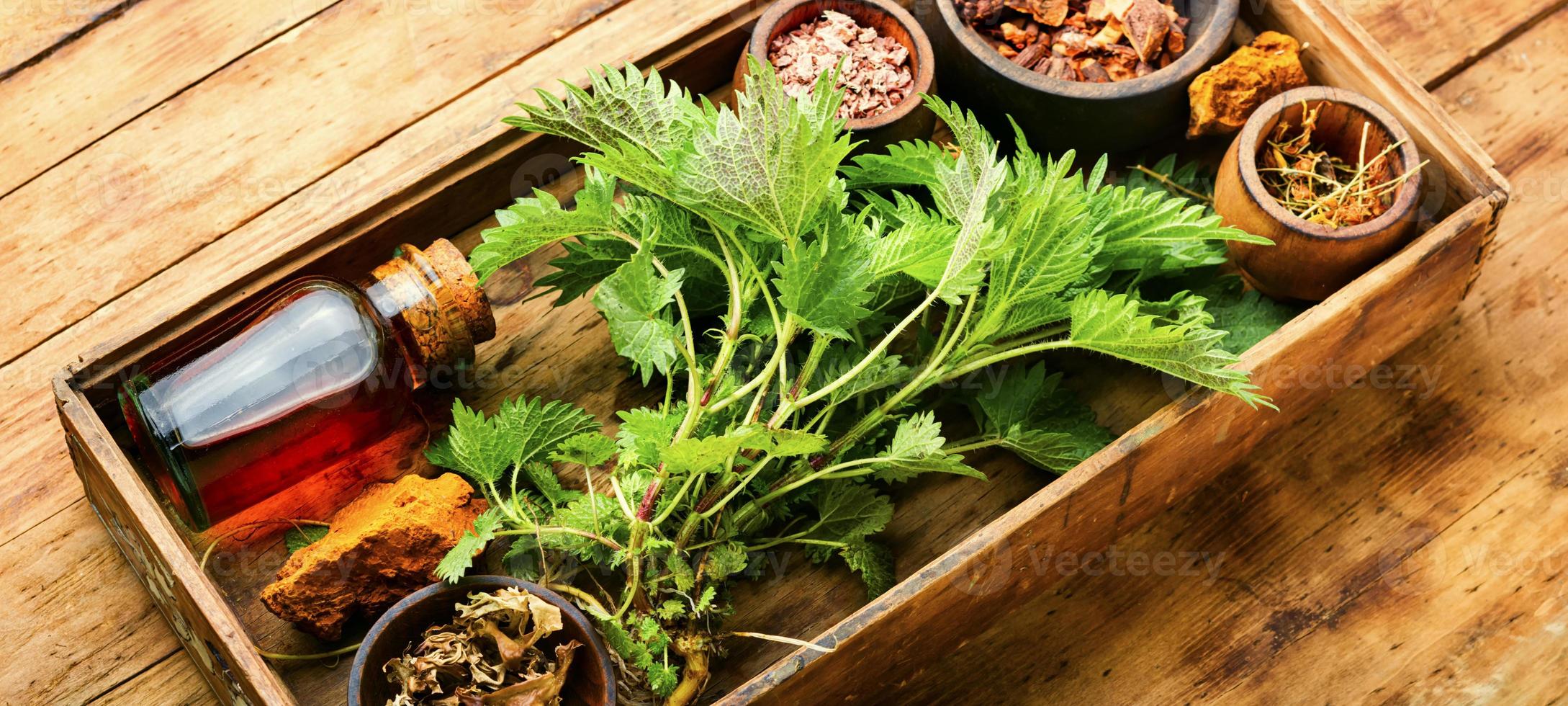 herbes médicinales et racines dans une boîte en bois photo