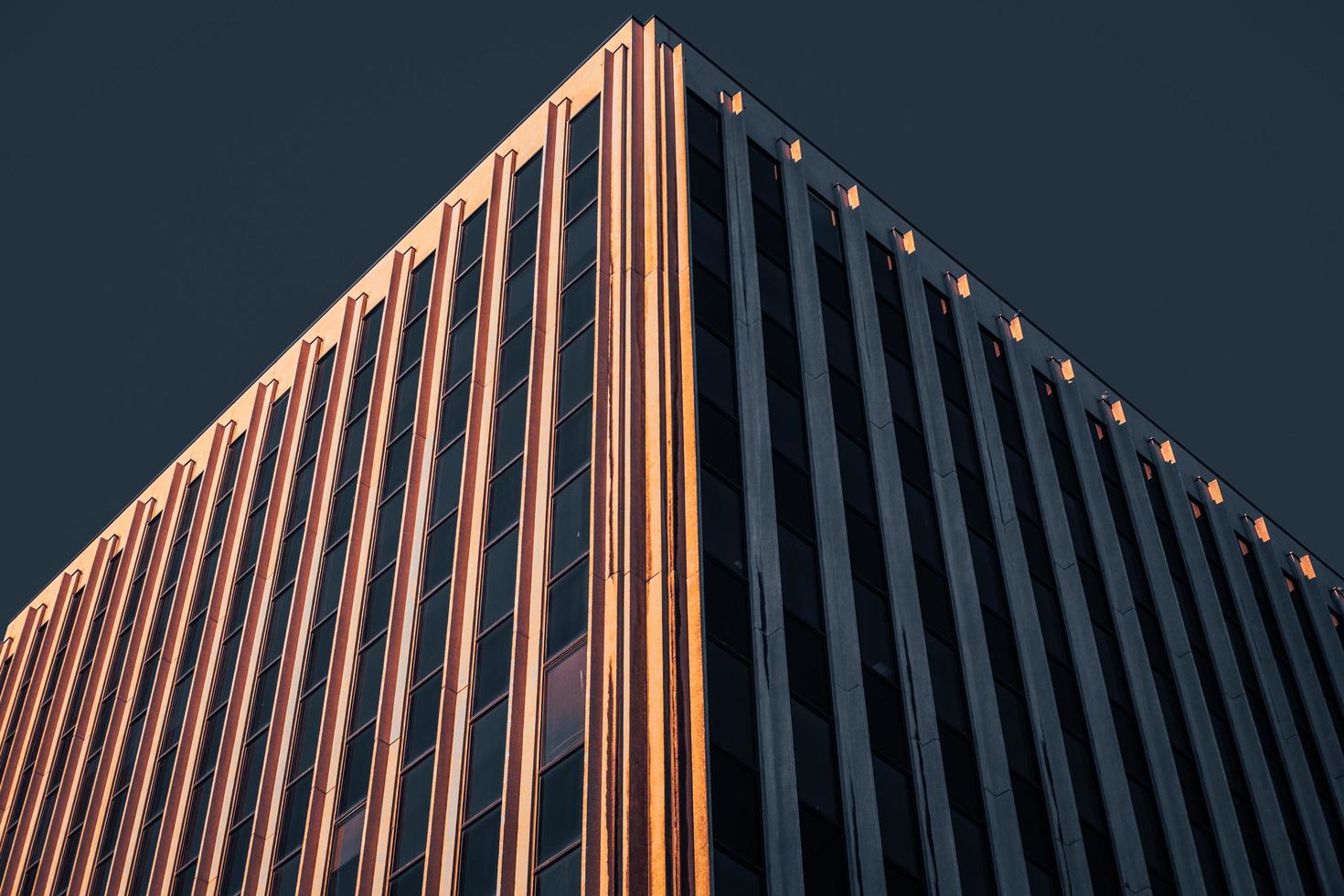 immeuble de grande hauteur marron photo