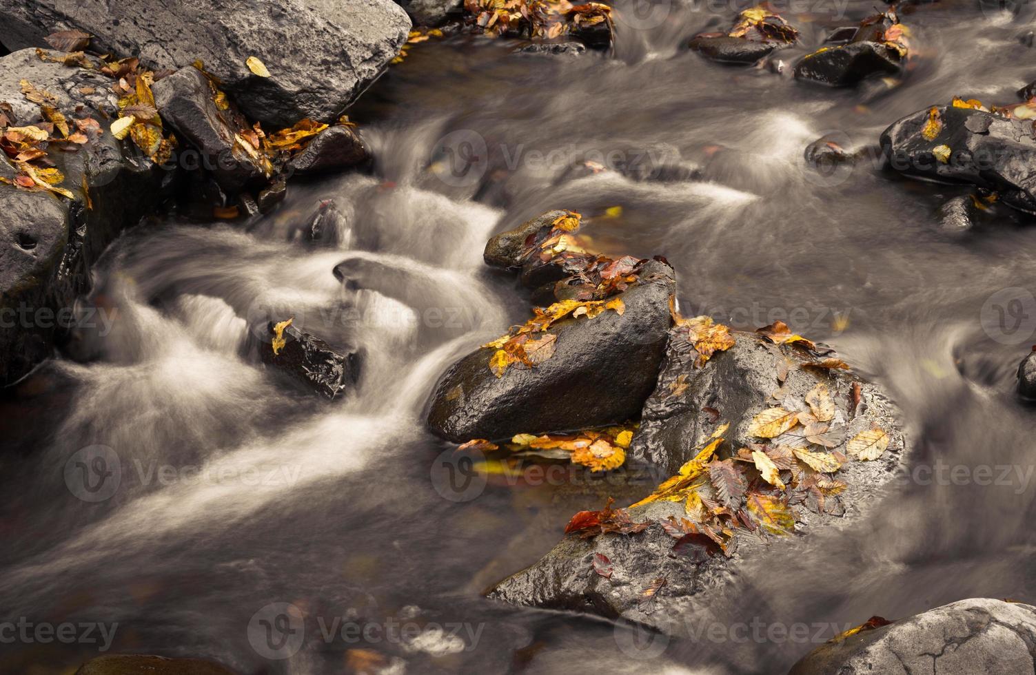 petit ruisseau à l'automne photo
