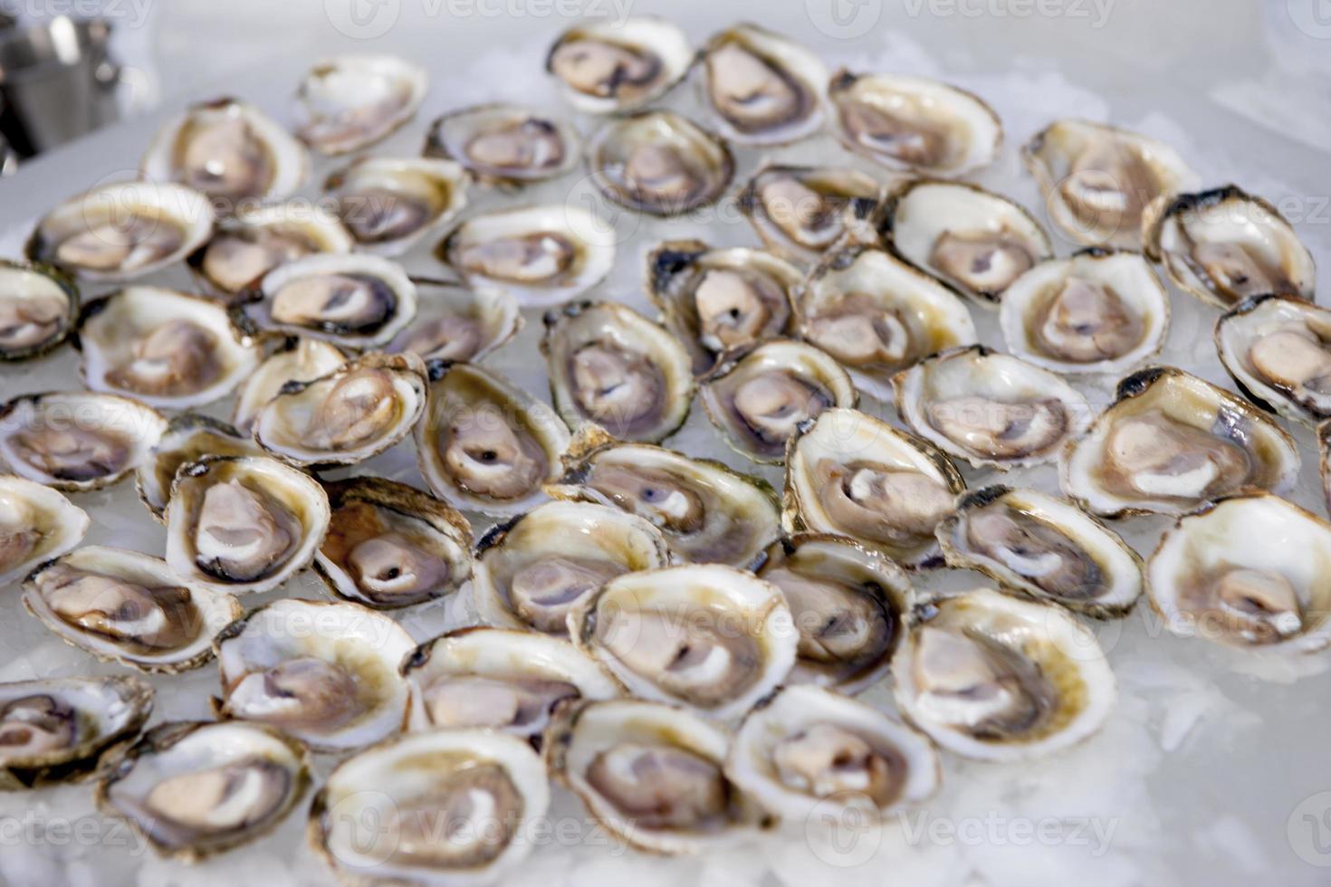 huîtres fraîches de la côte ouest 1375166 Photo de stock chez Vecteezy
