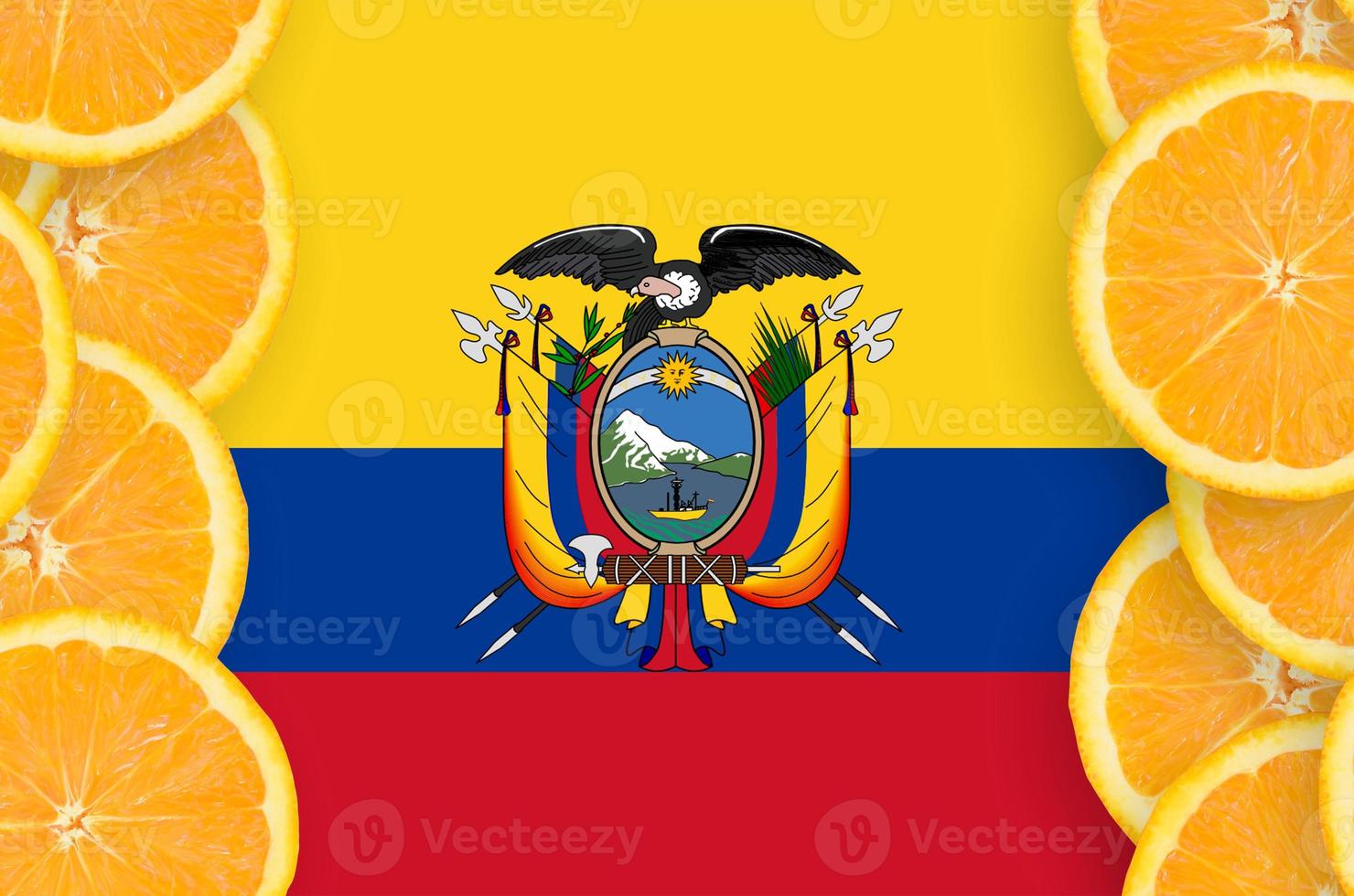 drapeau de l'équateur dans le cadre vertical de tranches d'agrumes photo