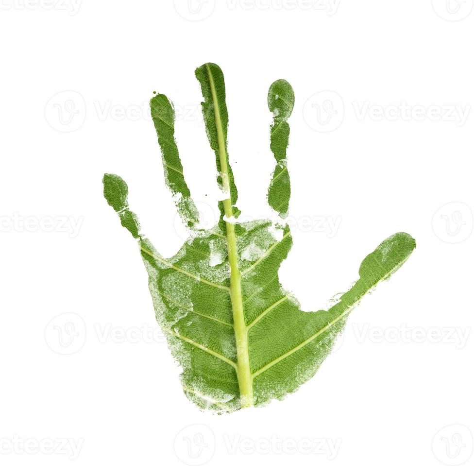 concept de protection de l'environnement. empreinte de main comme surface de texture de feuille verte. jour de la terre et écologie. ressources durables, main d'un volontaire. isolé sur fond blanc photo