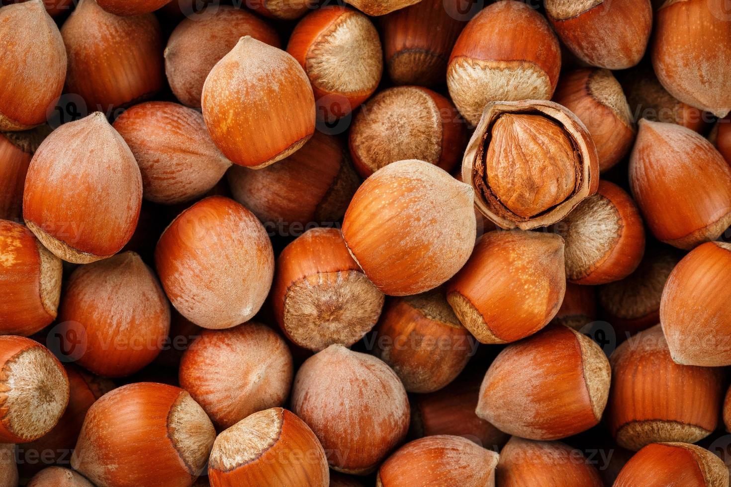 noisettes. pile de noisettes. fond de nourriture. fond noisette. noisettes en fond de coquilles photo