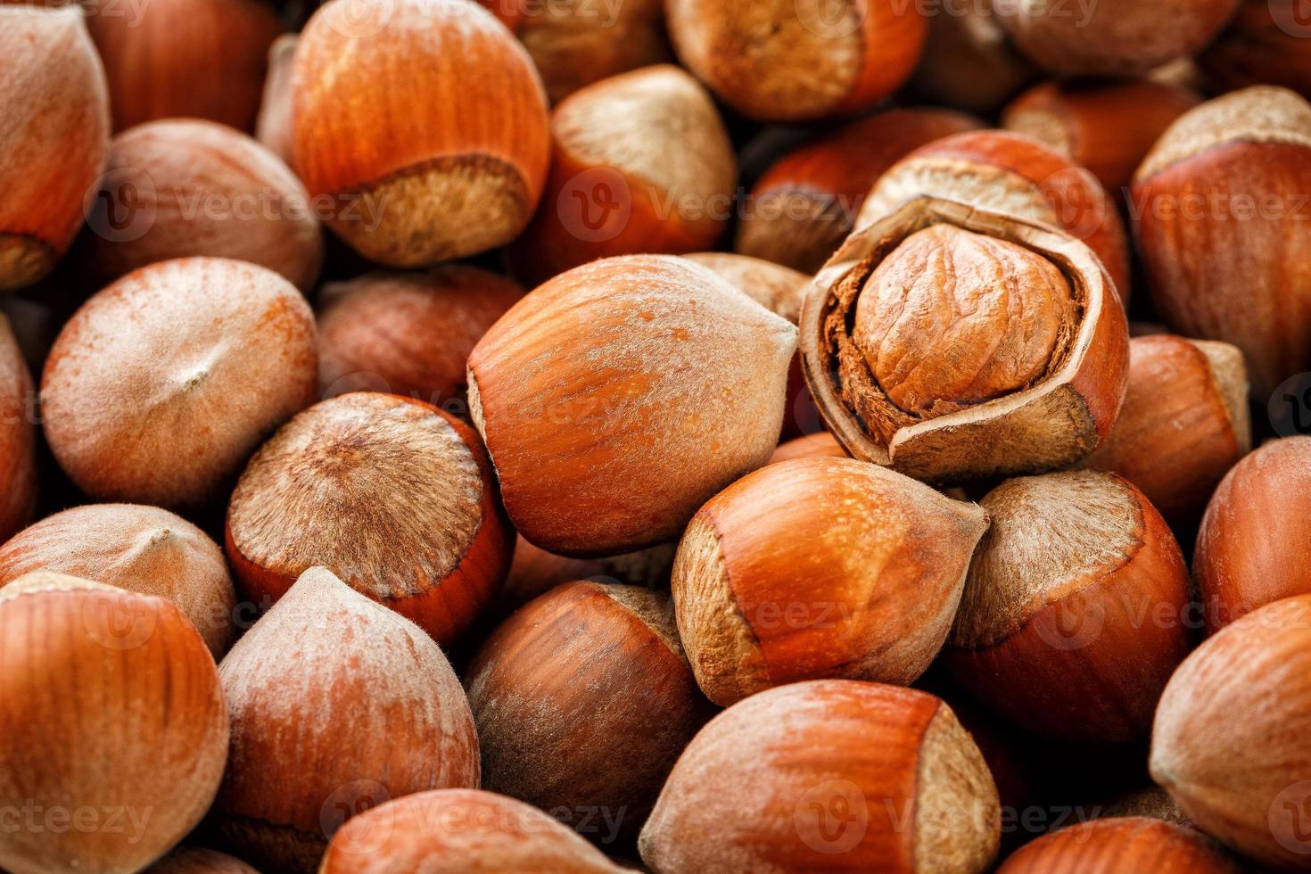 noisettes. pile de noisettes. fond de nourriture. fond noisette. noisettes en fond de coquilles photo