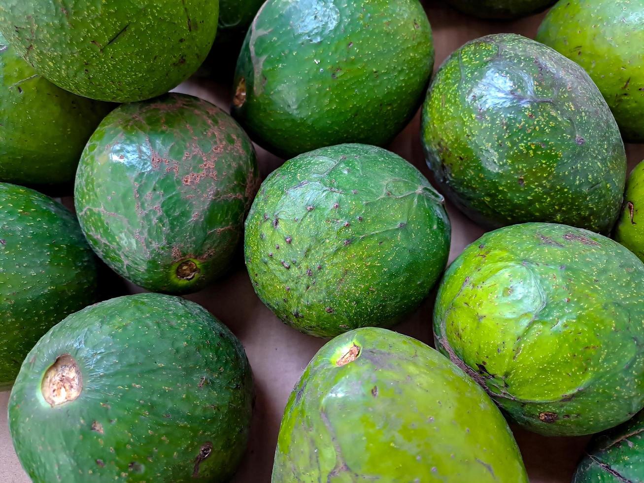 tas d'avocats verts au marché aux fruits local. fruits frais sains et délicieux. ce fruit est souvent utilisé dans les jus photo