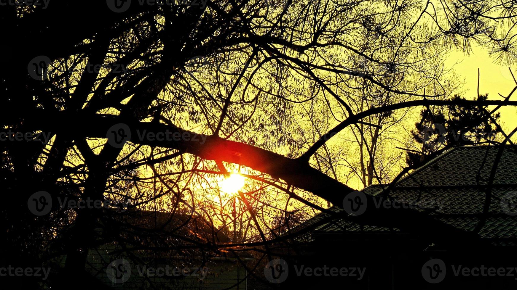 coucher de soleil gal photo