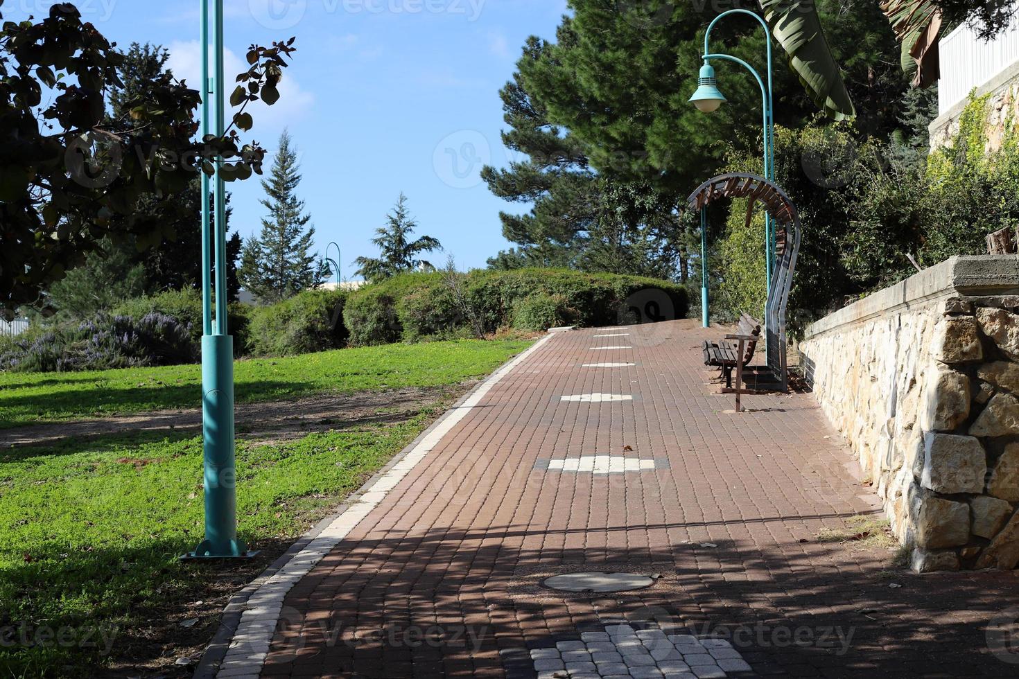 route piétonne dans le parc de la ville au bord de la mer. photo