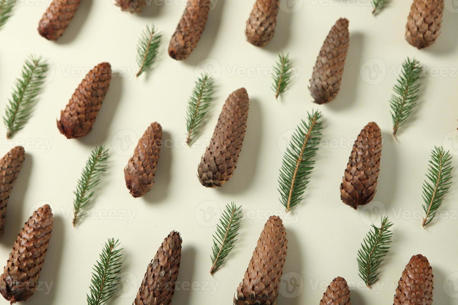 carte de voeux joyeux noël et joyeuses fêtes, cadre, bannière. nouvel An. branches de pin sur blanc. photo