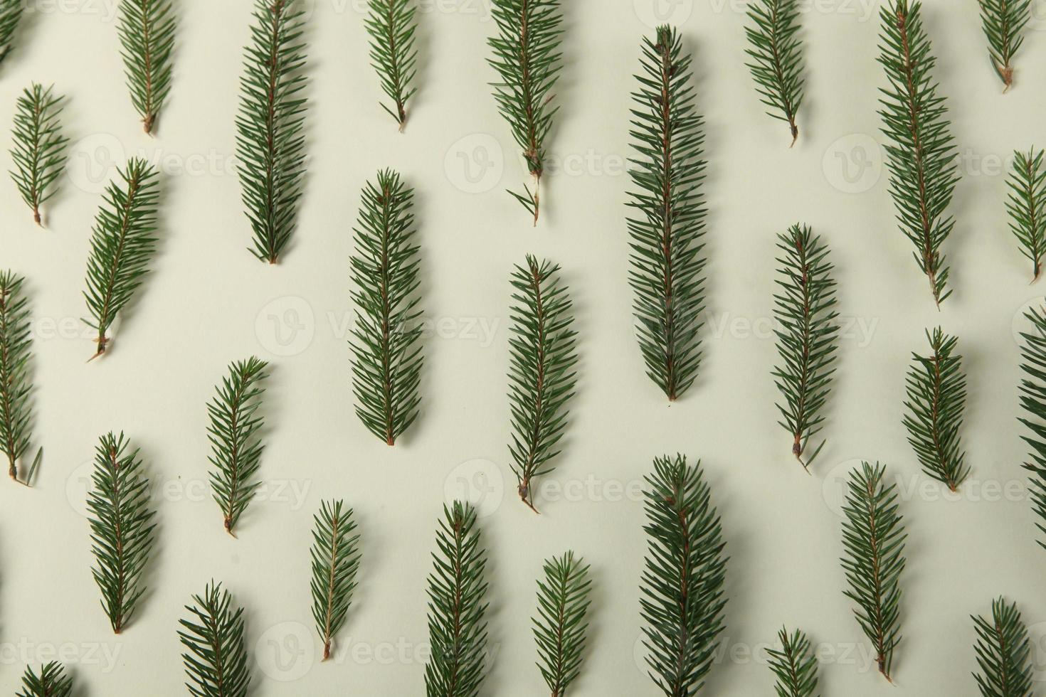 carte de voeux joyeux noël et joyeuses fêtes, cadre, bannière. nouvel An. branches de pin sur blanc. photo