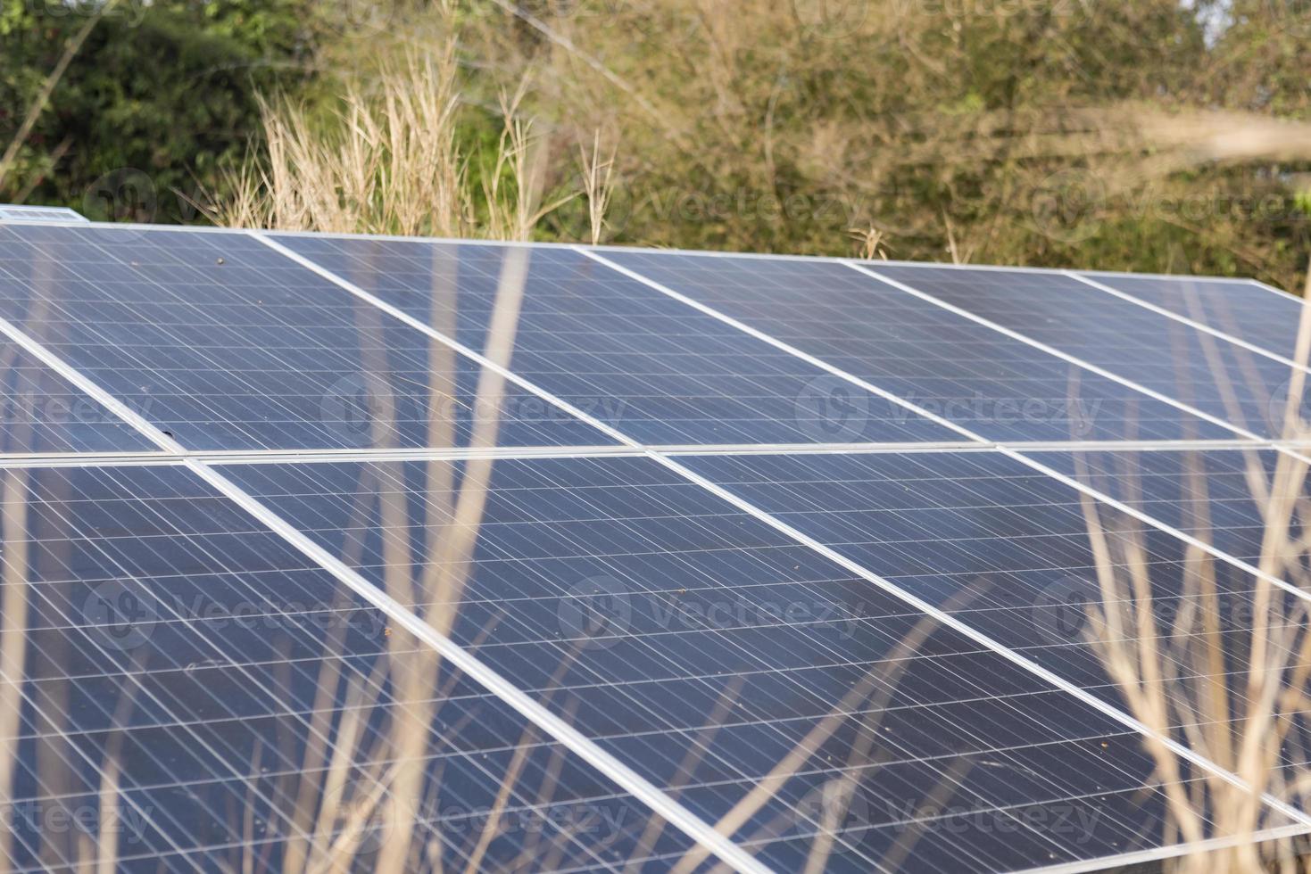 des panneaux solaires produisent de l'électricité qui peut faire fonctionner une pompe à eau submergée pour l'irrigation de l'eau dans le domaine agricole photo