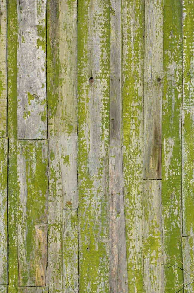 texture de mur en bois photo