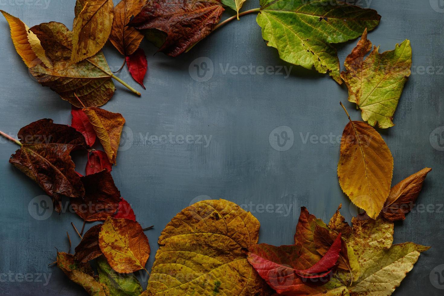 feuilles sur fond rustique gris photo