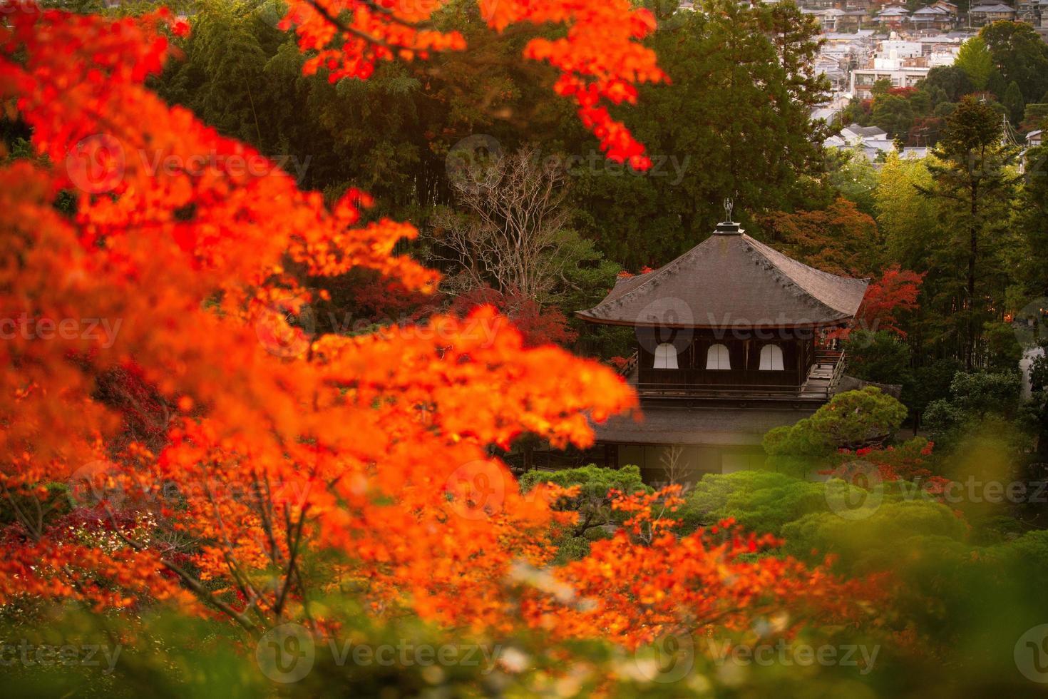 ginkaku-ji, temple du pavillon d'argent ou officiellement nommé jisho-ji, ou temple de la miséricorde brillante, un temple zen dans le quartier sakyo de kyoto, kansai, japon photo