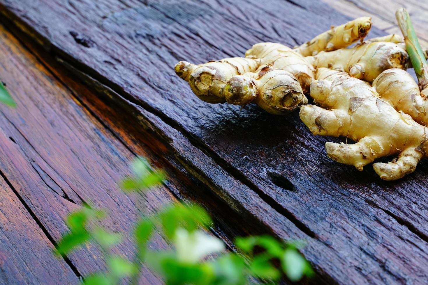 gingembre frais sur le parquet le gingembre est une herbe utile et utilisée comme épice en cuisine. photo