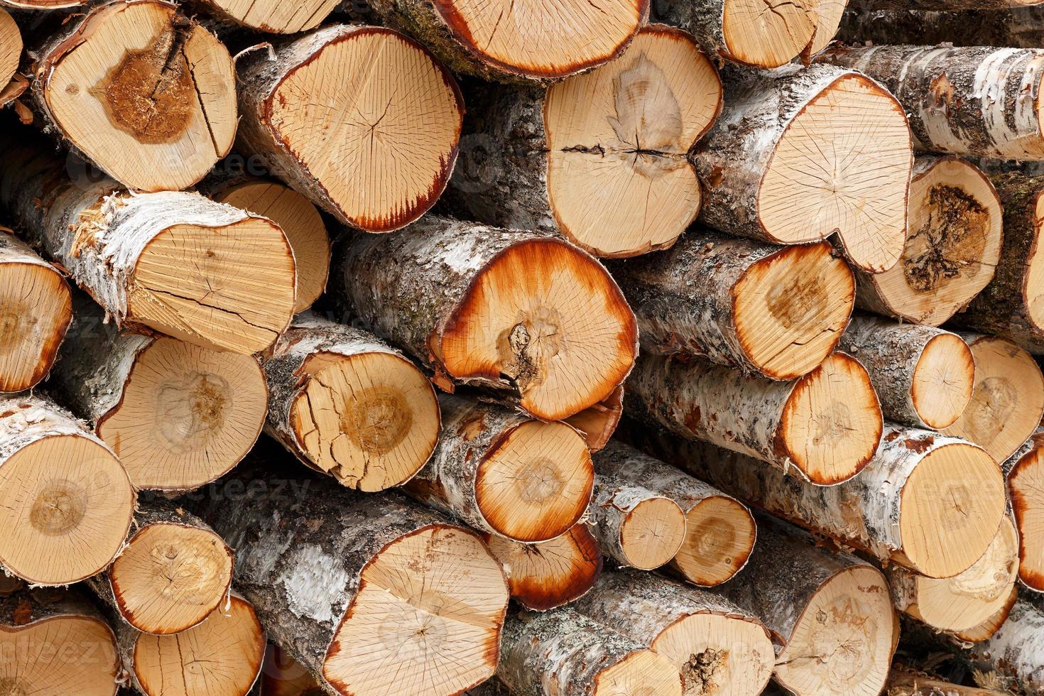 Grosse pile de coupes rondes de bois d'arbre, tronçonneuse électrique  rouge. Les grumes sont sciées à partir des troncs de bouleau empilés dans  une pile. Bois de chauffage de bouleau. Compost s