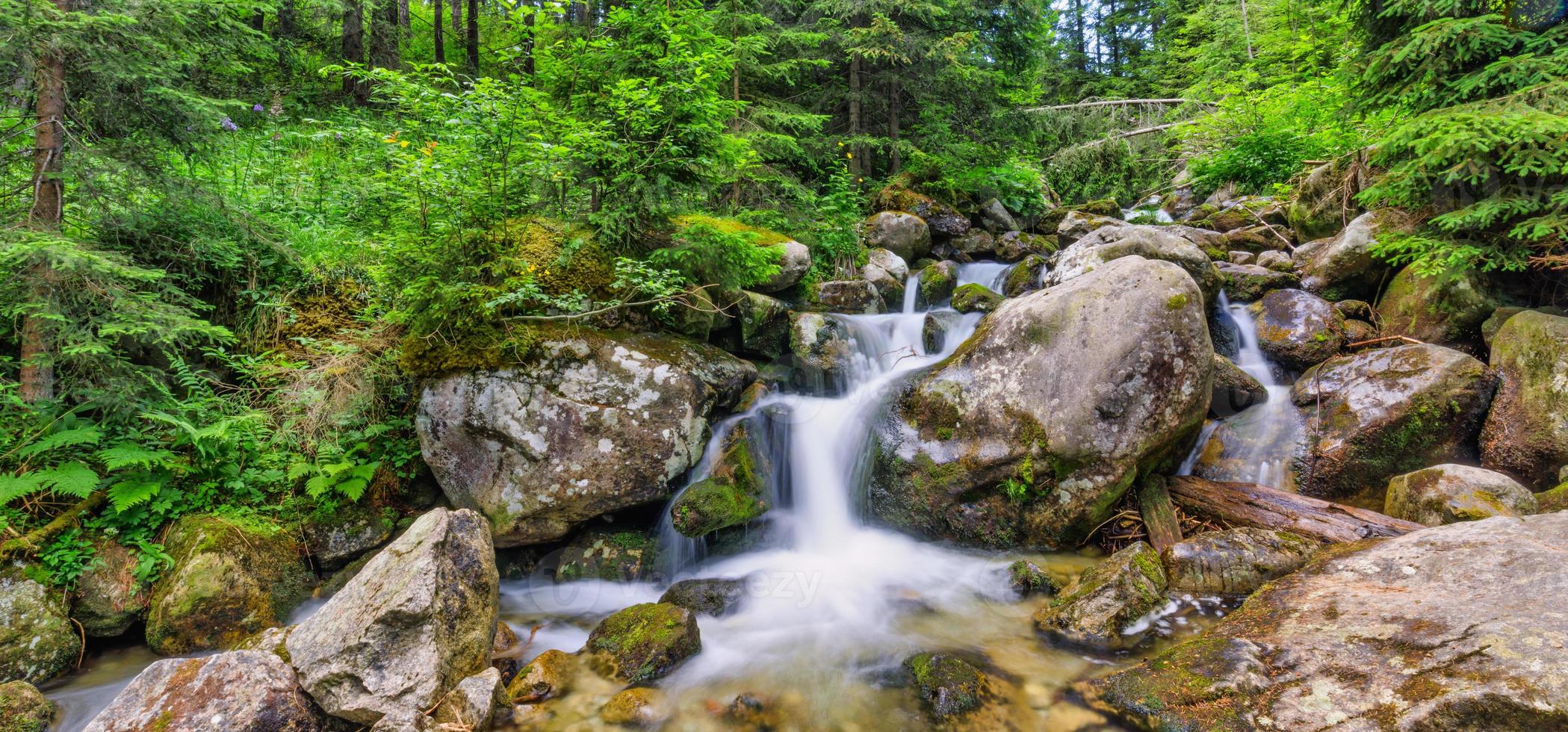 beau paysage naturel écologique en gros plan avec ruisseau de montagne. ruisseau forestier abstrait à longue exposition avec des pins et un fond de feuillage vert. automne minuscules roches de cascade, nature ensoleillée étonnante photo