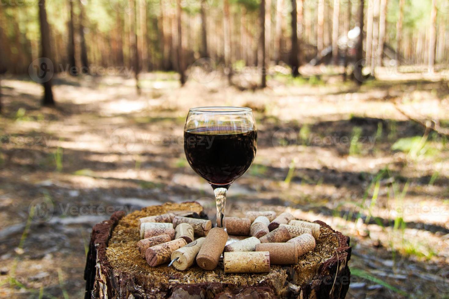 un verre avec un vin rouge et des bouchons de vin sur une souche sur fond de forêt d'été par une journée ensoleillée. photo