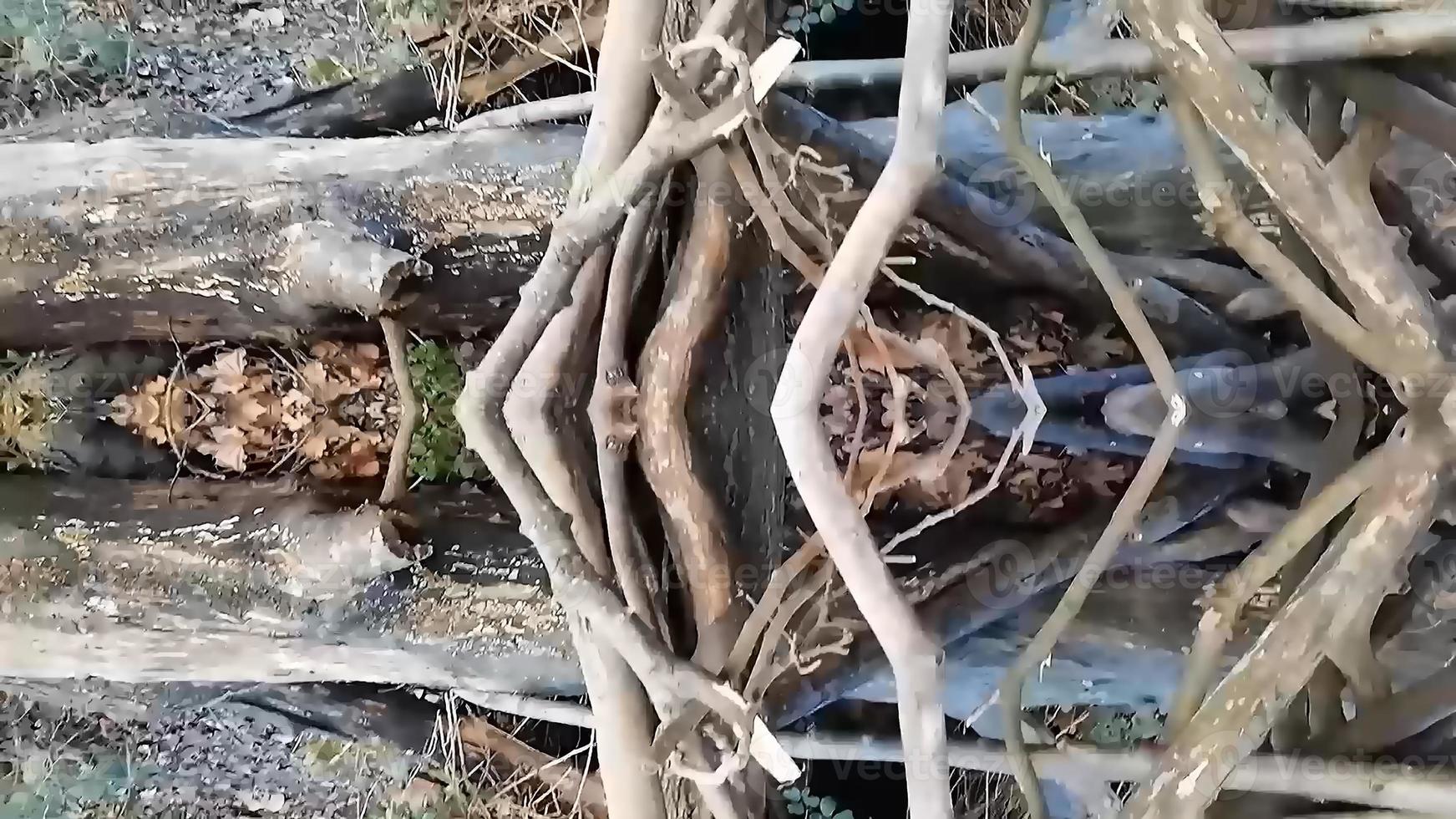 structure en bois marron dans un parc photo