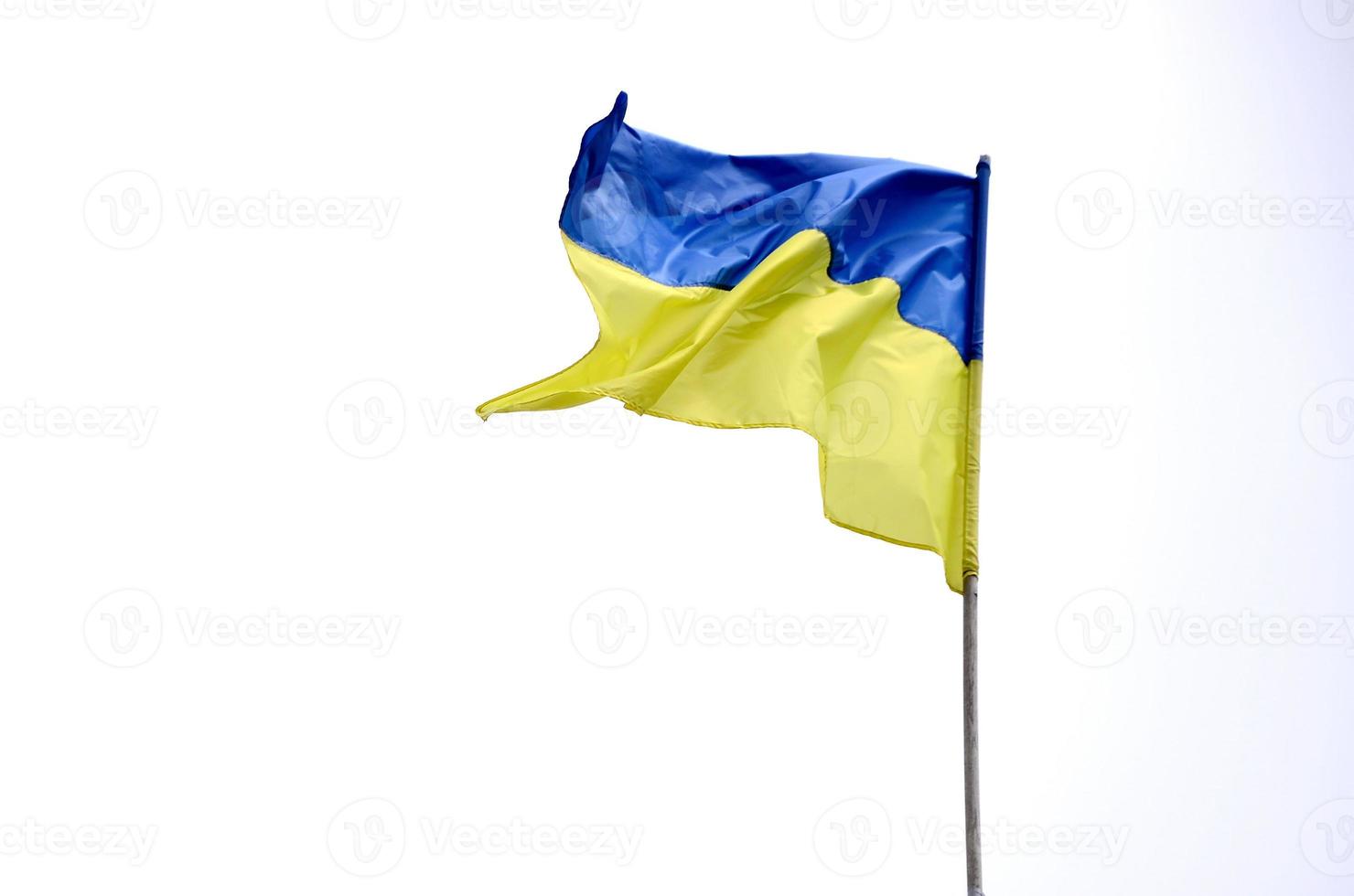 Drapeau ukrainien flottant au vent isolé sur fond blanc photo