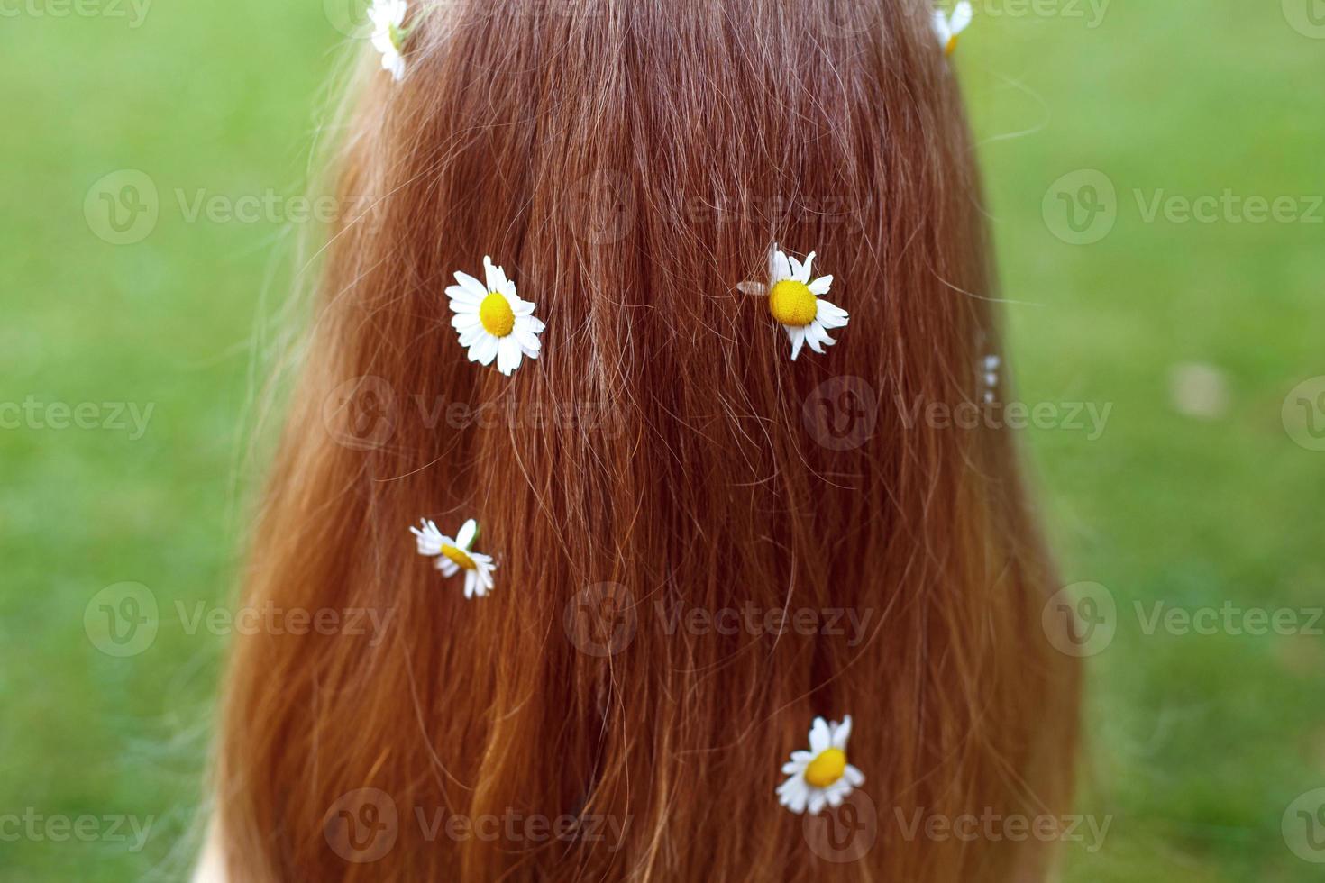 cheveux rouges sains sur un fond d'herbe verte avec des fleurs de camomille photo