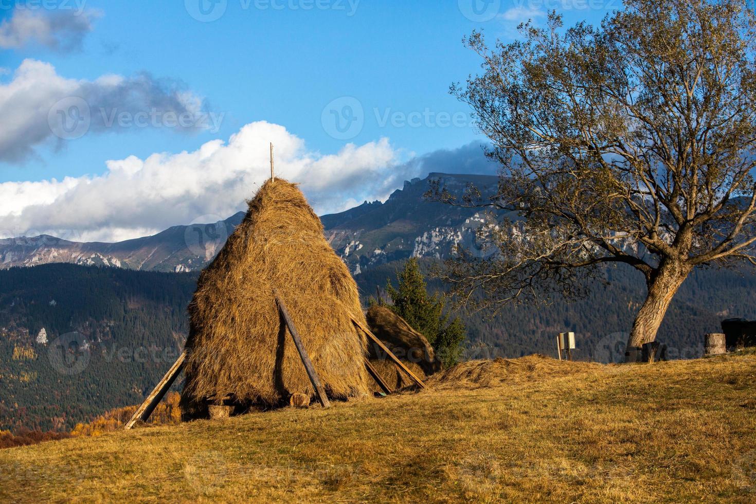 un charmant paysage de montagne dans les montagnes de bucegi, carpates, roumanie. nature d'automne à moeciu de sus, transylvanie photo