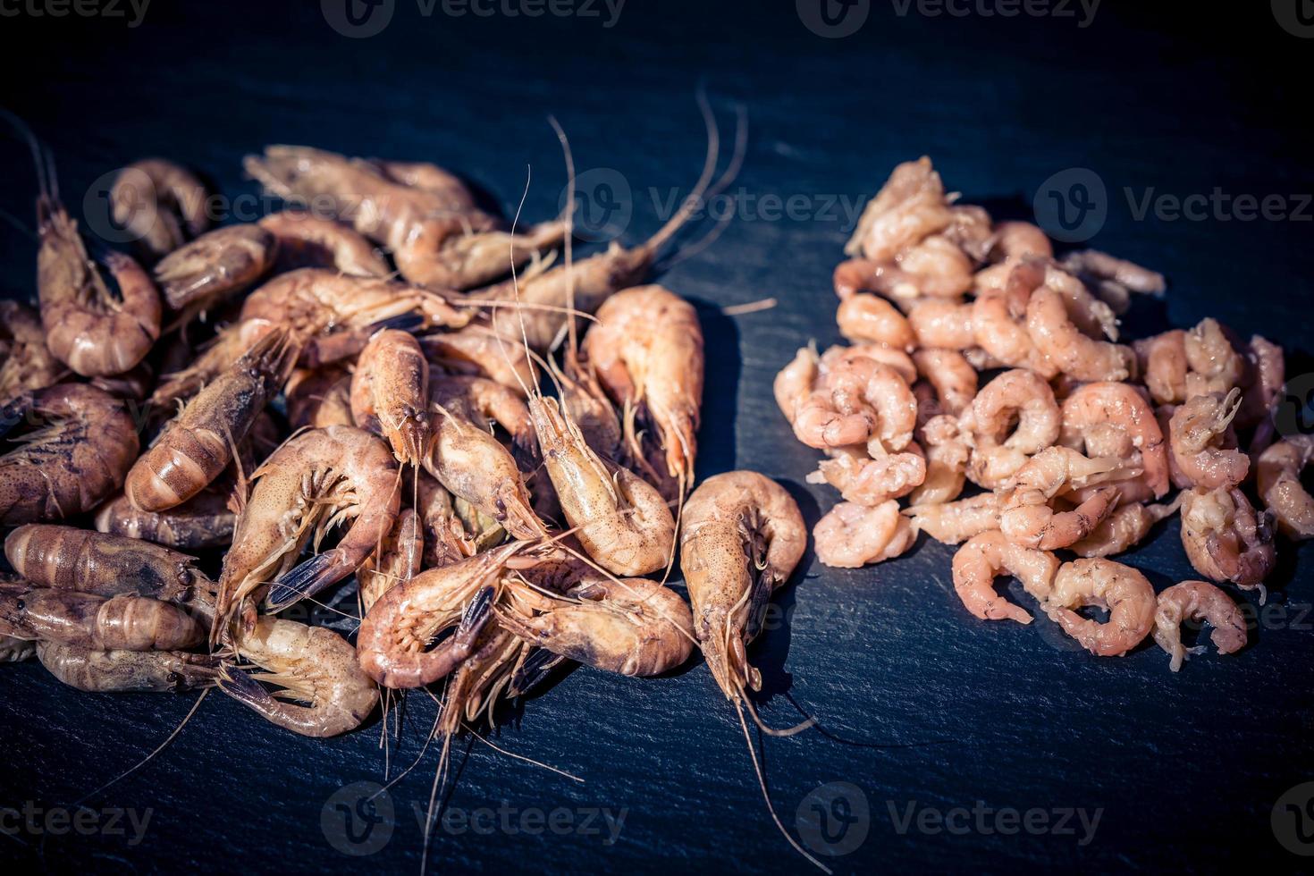 salade aux crabes frais de la mer du nord photo