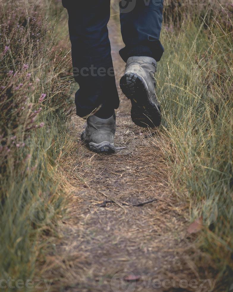 mec en randonnée dans la forêt aux pays-bas. noorderheide. photo