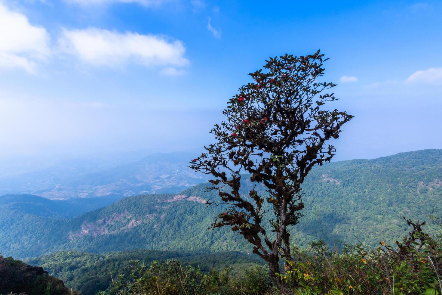 Paysage à kew mae pan, thaïlande photo