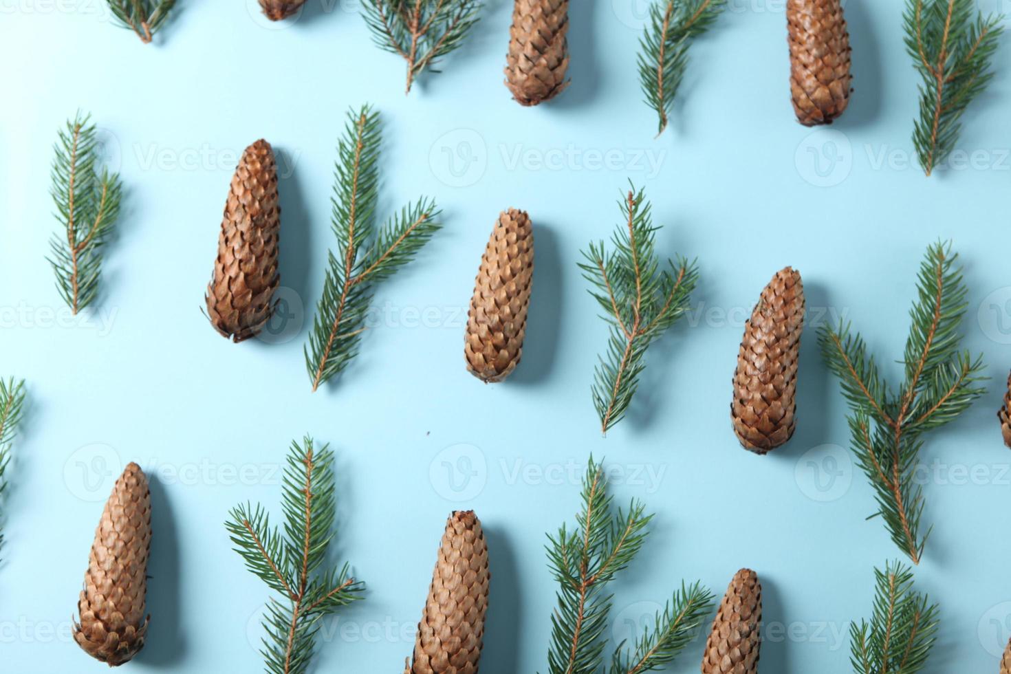 carte de voeux joyeux noël et joyeuses fêtes, cadre, bannière. nouvel An. branches de pin sur blanc. photo