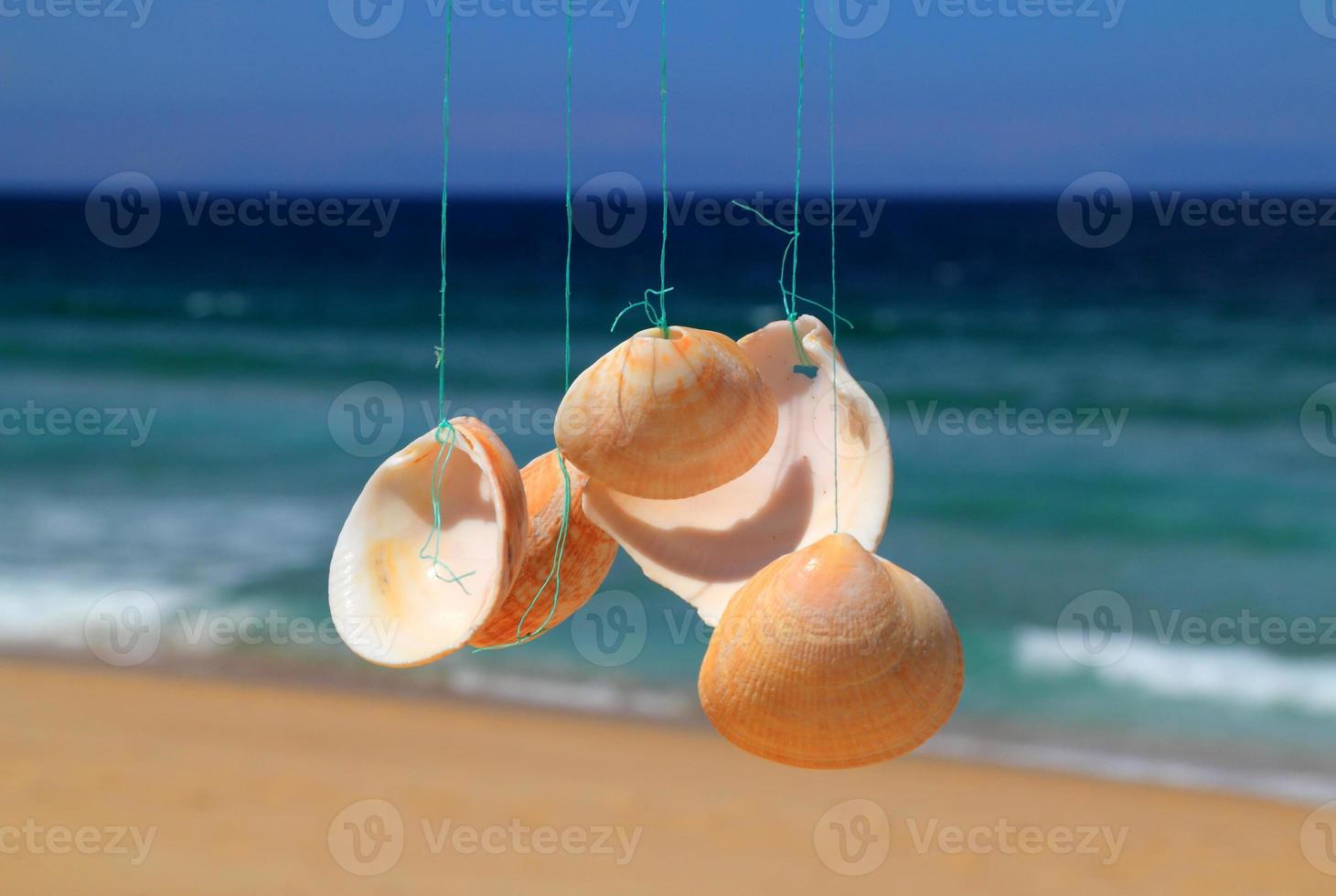 carillon de vent de coquillage et plage. le Portugal. photo