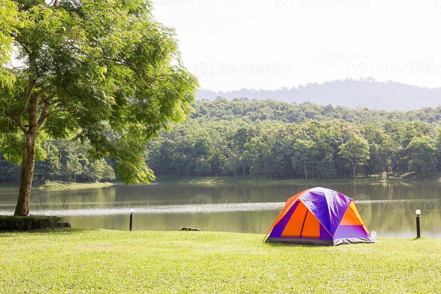 tentes dôme camping en forêt camping photo