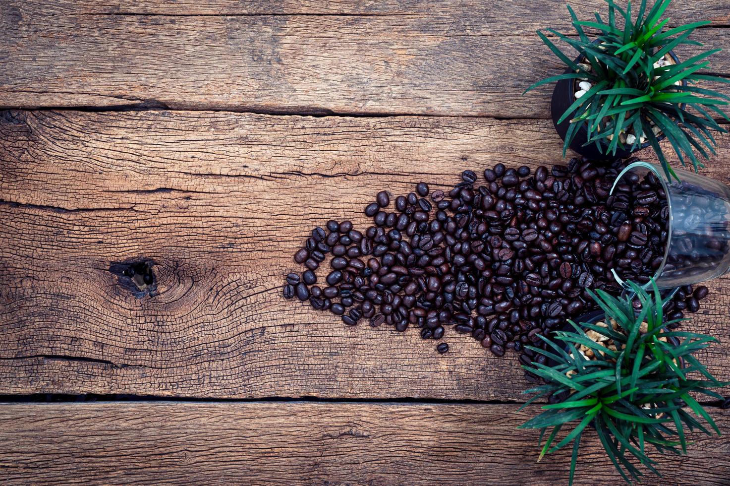 grains de café sur le bureau photo