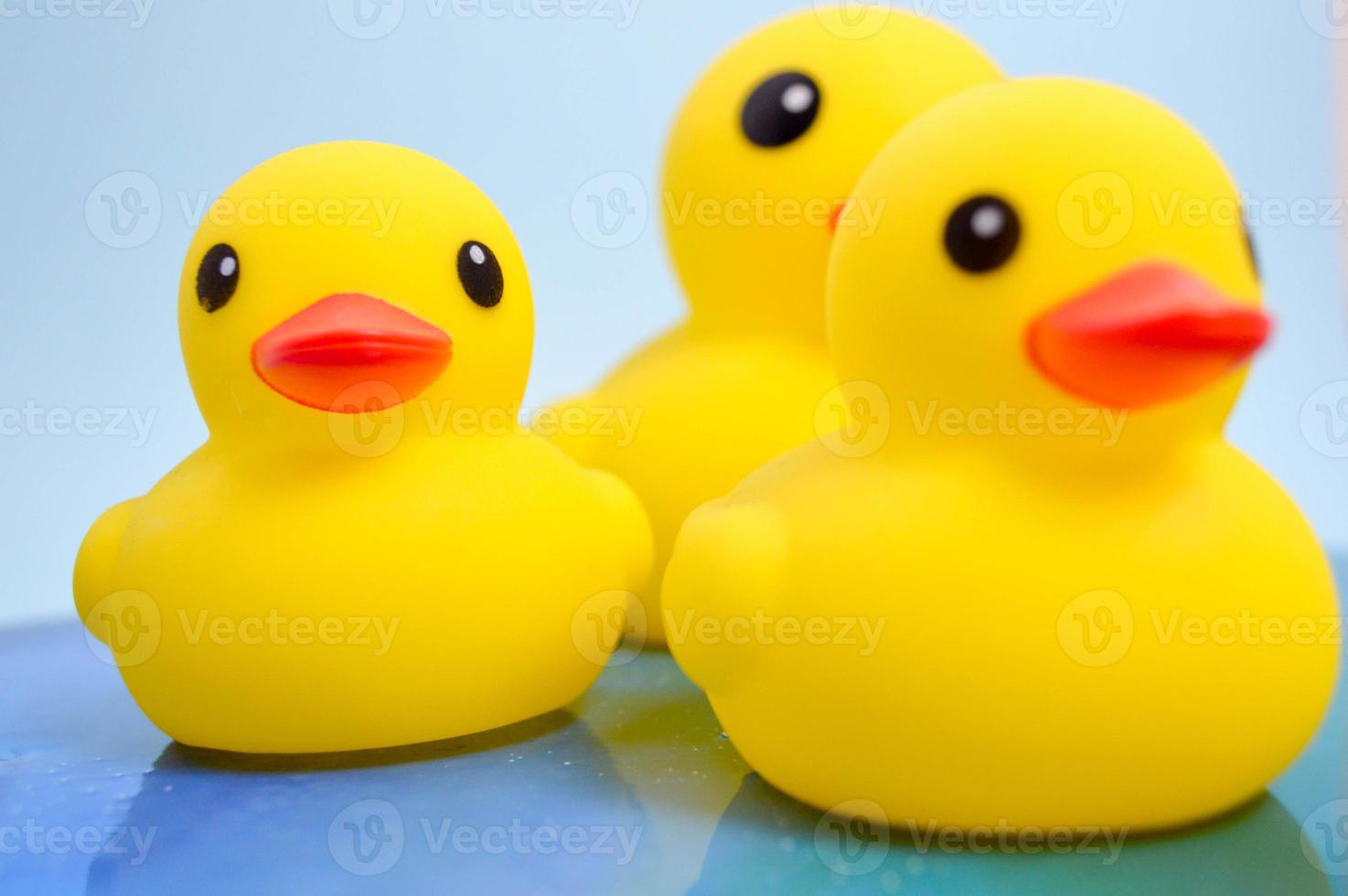 trois canards en caoutchouc jaune vif se sont promenés sur l'eau. jouets pour enfants avec un préjugé en développement et une natation amusante photo