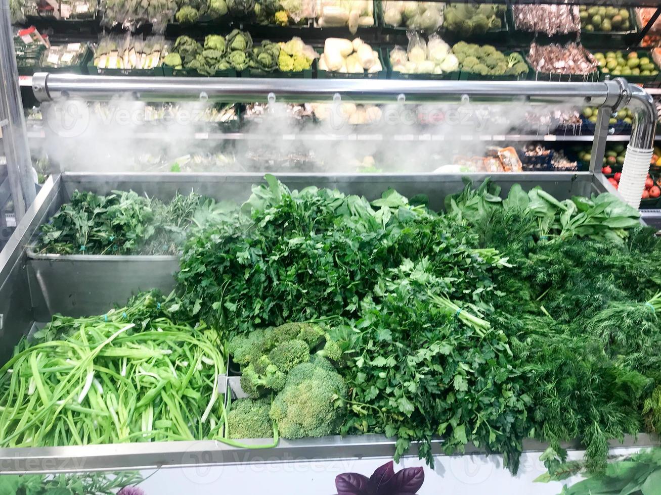 vert frais verts respectueux de l'environnement des plantes de persil salade d'aneth roquette oignons et autres aliments végétaux se trouve dans un réfrigérateur moderne dans un supermarché sur le comptoir. l'arrière-plan photo