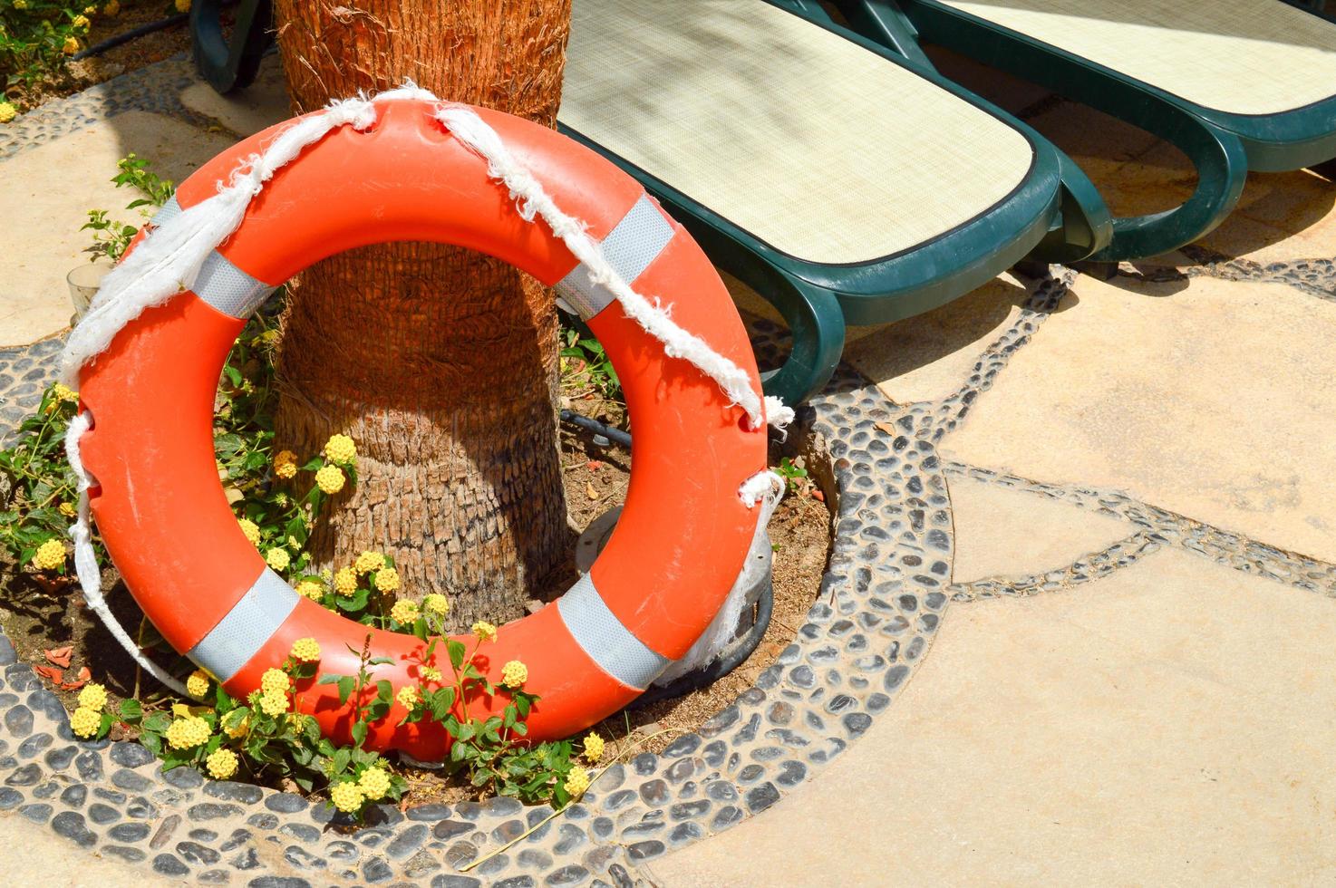 la bouée de sauvetage orange pour la sécurité de la baignade repose sur un sol en pierre sur fond de fleurs jaunes et de chaises longues près de la station balnéaire de chaleur exotique marine tropicale du sud photo