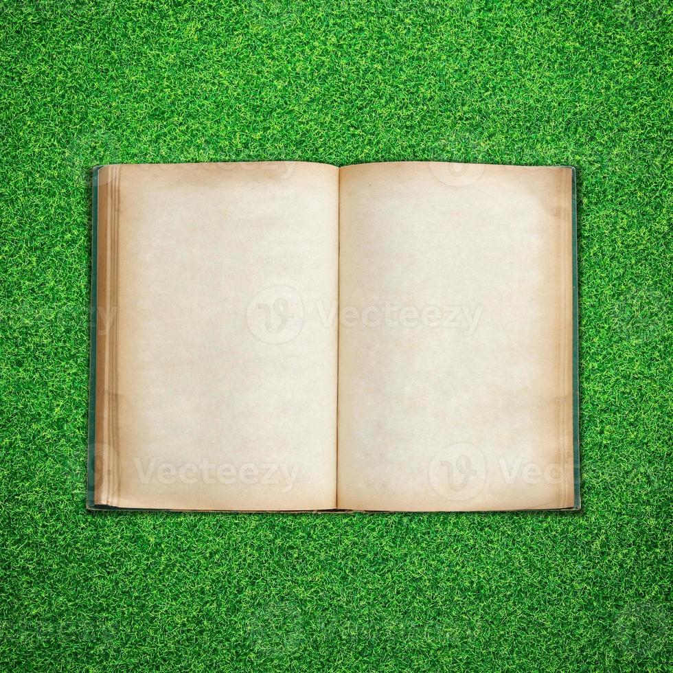 vieux livre ouvert sur fond d'herbe verte photo