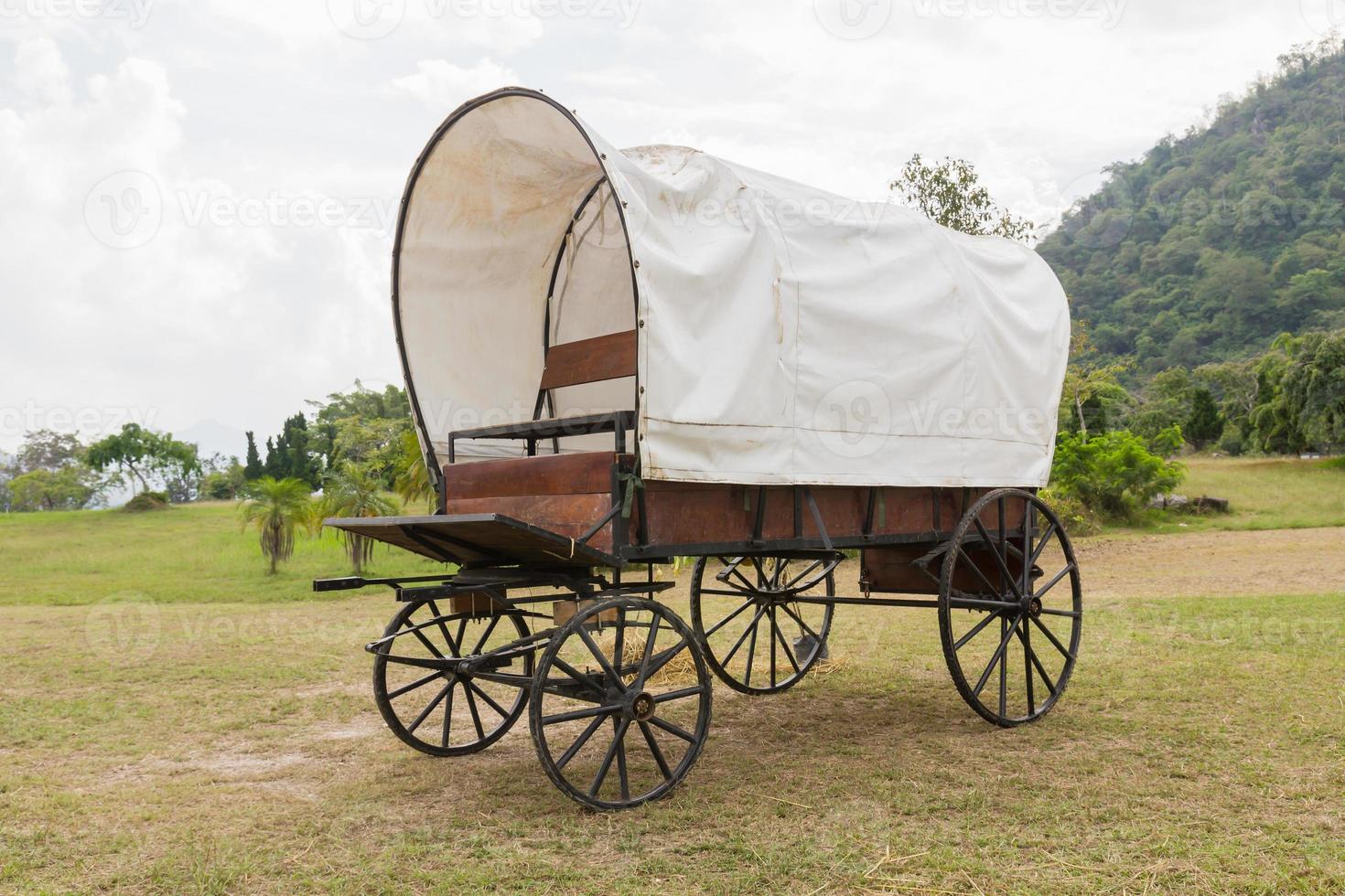 chariot couvert sur l'herbe photo