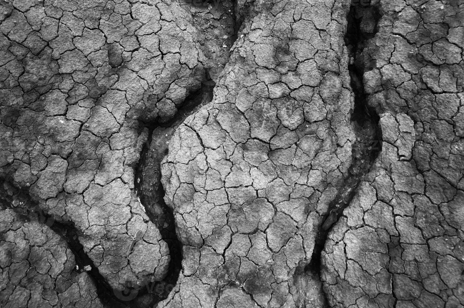 fond de texture de sol de terre fissurée séchée. motif en mosaïque de sol de terre séchée ensoleillé photo