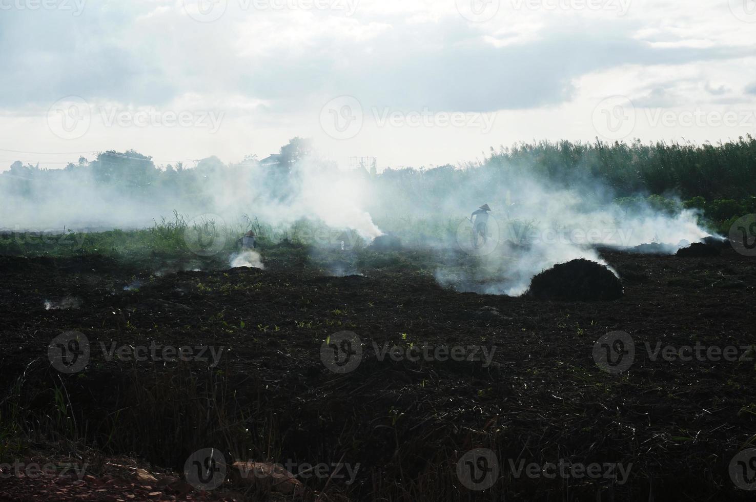 brûler des terres pour les champs ouverts, une méthode souvent utilisée pour défricher les terres par les agriculteurs locaux. photo