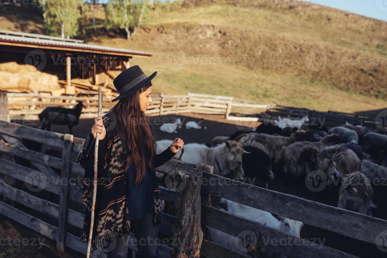 une belle jeune femme près d'un enclos avec des chèvres photo